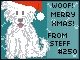 Steff #250