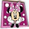Deluxe Pin Starter Set of 8 - Minnie Only