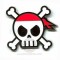 Pirates of the Caribbean - Skull and Crossbones w/ Hidden Mickey
