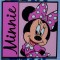 2012 - PWP Promotion - Deluxe Starter Set (Minnie ONLY)