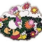  WDW - 1970's Mickey Mouse and Friends - Mystery Collection - Daisy Duck ONLY