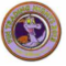  WDW - Disney Pin Trading Night 2013 - Figment (Spinner)