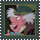 Patch